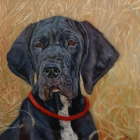 Dog Ida, olieverf op linnen 30x30cm