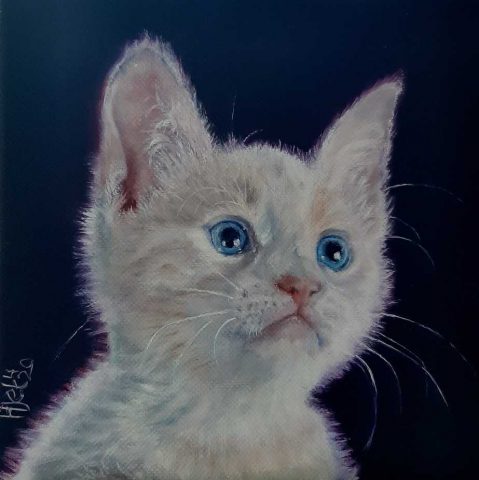 Kattenschilderij olieverf 20 x 20 cm