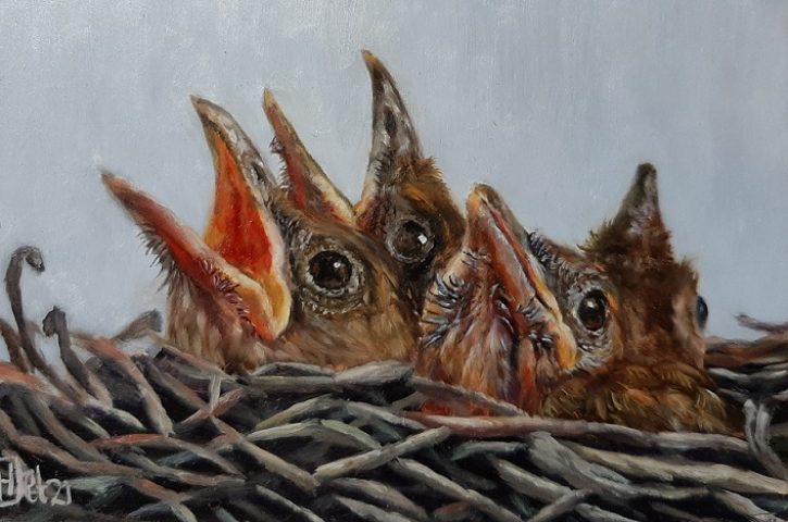Jonge vogels olieverf op paneel 10x15cm