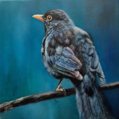 Dierenkunst Merel