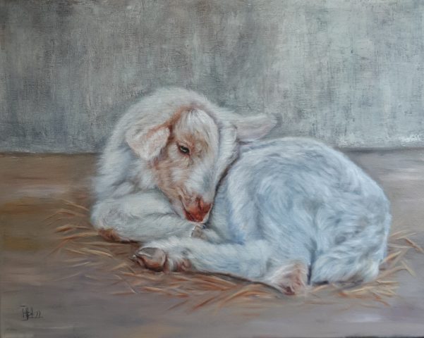 Dierenschilderij geitenportret olieverf op linnen
