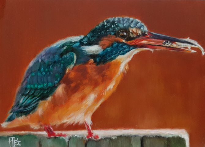 Vogelportret olieverf op paneel