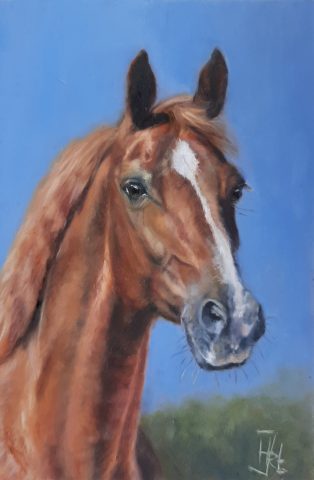 Paardenportret Dex olieverf op paneel 10x15cm