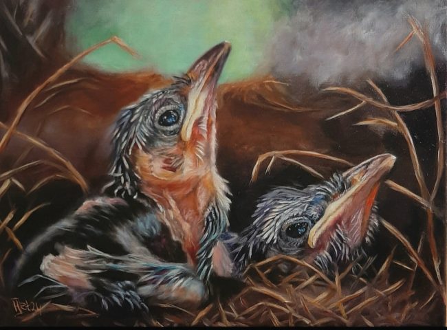Jonge vogeltjes Olieverf op linnen 30x40cm Beschikbaar