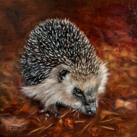 Egeltje 20x20 cm olieverf op linnen