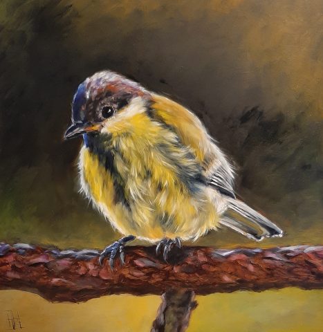 Vogelportret Koolmees olieverf op paneel 30x30cm