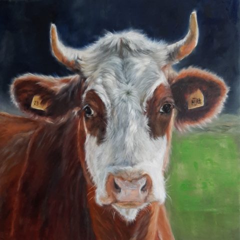 Koeienportret Olieverf op linnen 30x30cm