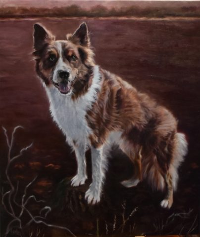Hondenportret Balou olieverf 60x70cm