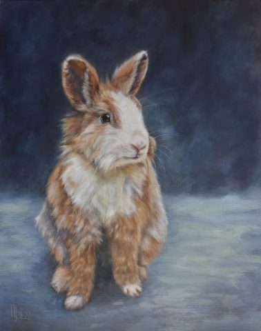Dierenschilderij konijn op linnen olieverf 40x50 cm