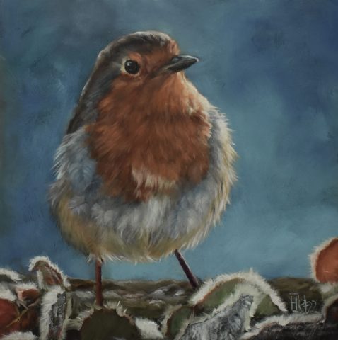 Dierenportret roodborstje olieverf op paneel 15x15cn