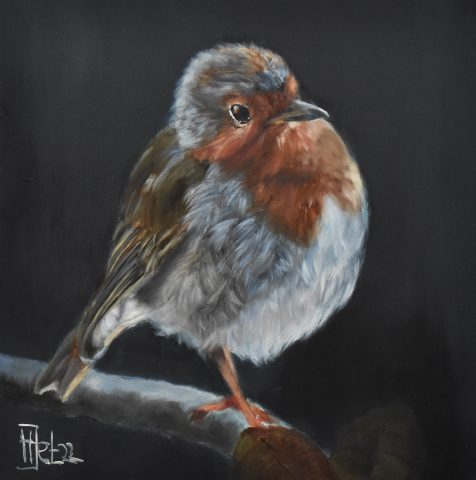Vogelportret roodborstje olieverf op paneel 15x15 cm