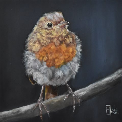 Vogelportret jong roodborstje olieverf op paneel 15x15 cm