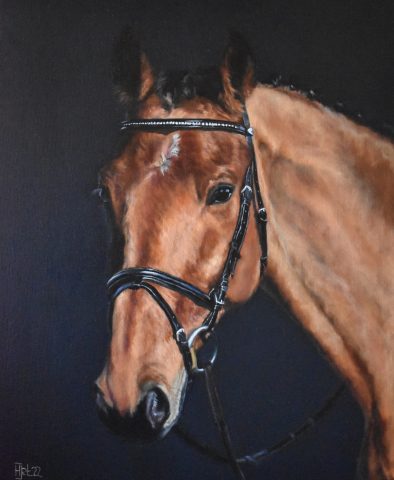Springpaard olieverf 50x60cm