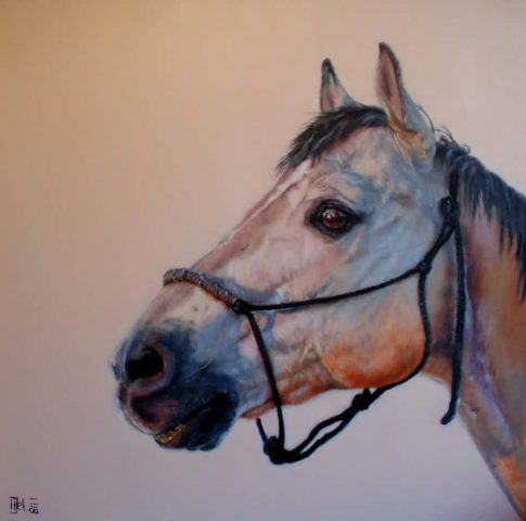 Paardenkunst