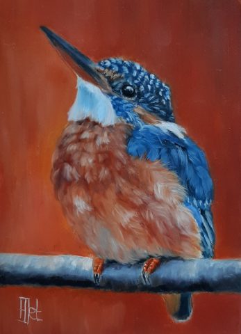 Vogelportret ijsvogel olieverf