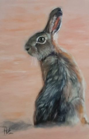 Haasje olieverf op paneel 10x15 cm beschikbaar