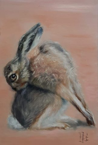 Haasje olieverf op paneel 10x15 cm