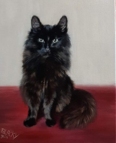 Katten portret Blacky olieverf 40x50cm