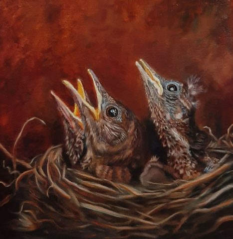Jonge vogeltjes Olieverf op linnen 40x40 cm beschikbaar