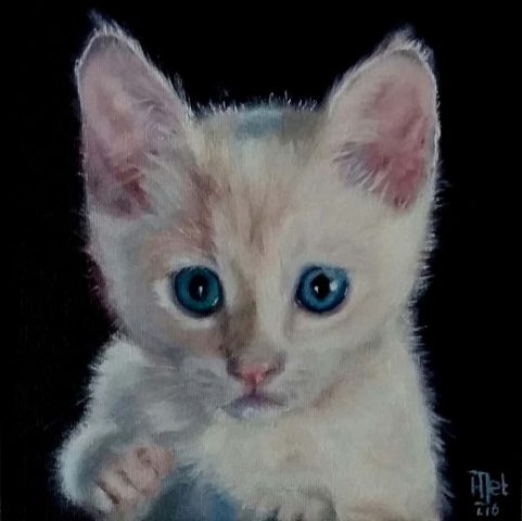 Kitten olieverf 20x20cm