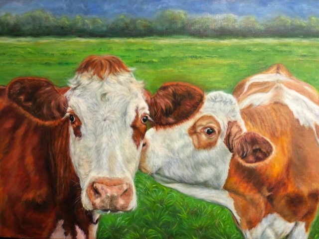 Koeien portret olieverf op linnen 60x80cm