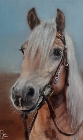 Haflinger Axel olieverf op paneel 10x15 cm
