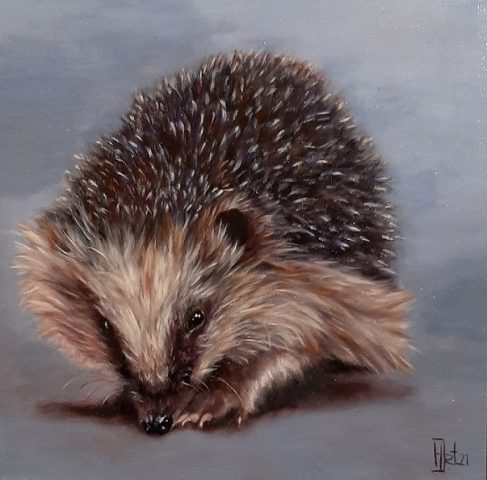 Egeltje olieverf 20x20 cm