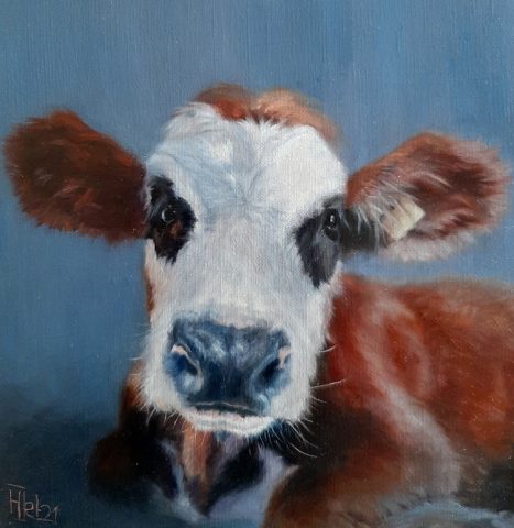 Blaarkop olieverf 20x20cm