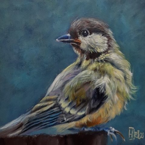 Dierenkunst, vogel, mees 10x10cm olieverf op paneel