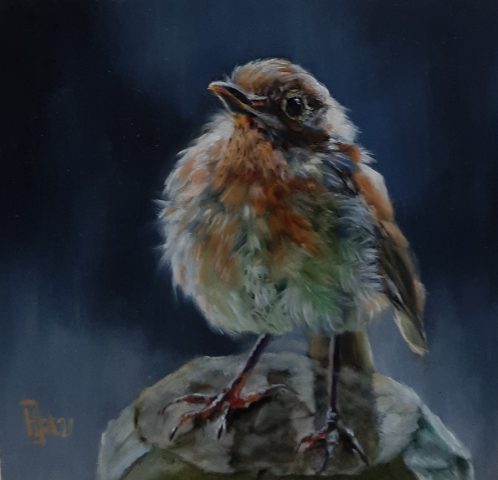 Roodborstje olieverf op paneel 10x10cm beschikbaar